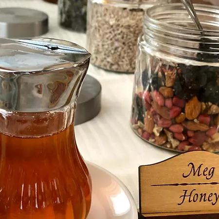 Plamena Palace Primorsko