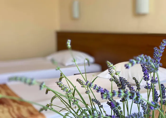 Hotel Plamena Palace