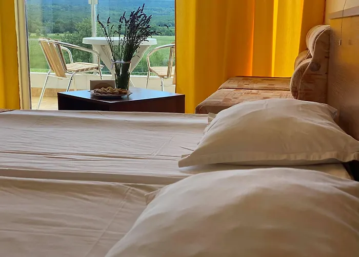 Plamena Palace מלון