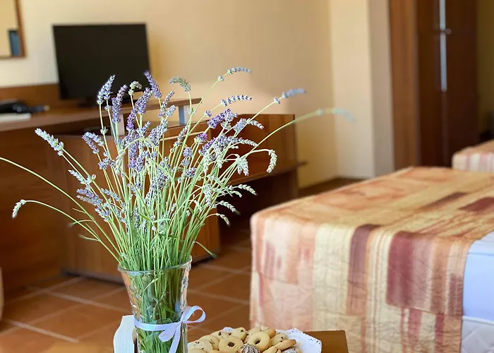 Plamena Palace פרימורסקו