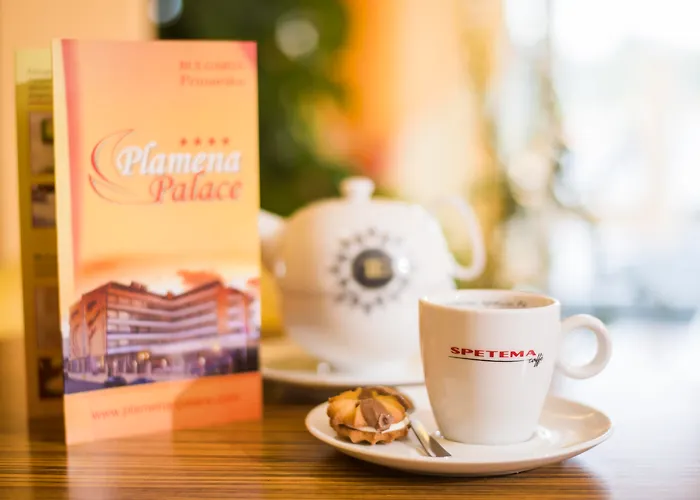 Plamena Palace מלון