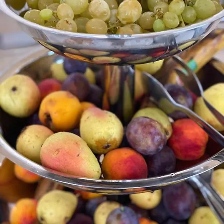 Hotel Plamena Palace