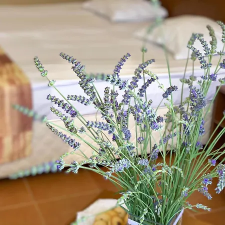 Plamena Palace Ξενοδοχείο Πριμόρσκο