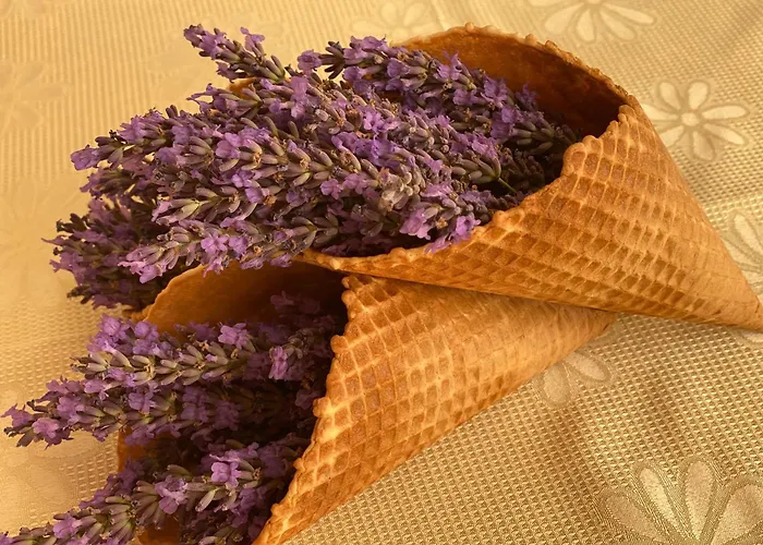 プラメナ パレス 4*